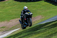 Oulton-Park-20th-March-2020;PJ-Motorsport-Photography-2020;anglesey;brands-hatch;cadwell-park;croft;donington-park;enduro-digital-images;event-digital-images;eventdigitalimages;mallory;no-limits;oulton-park;peter-wileman-photography;racing-digital-images;silverstone;snetterton;trackday-digital-images;trackday-photos;vmcc-banbury-run;welsh-2-day-enduro
